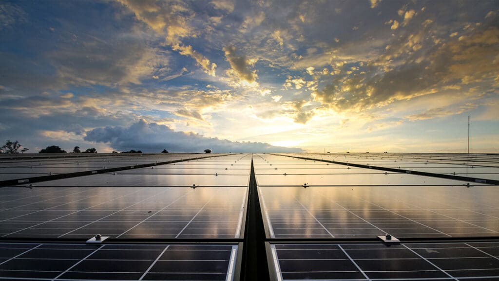 field of solar panels