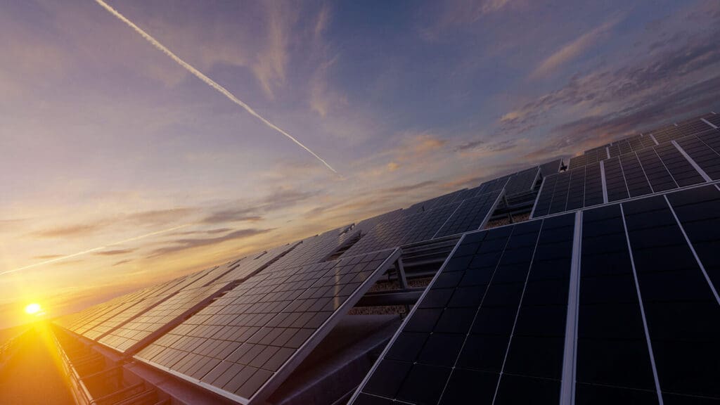 field of solar panels