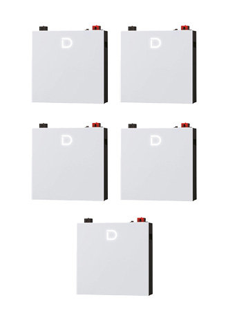 Dyness DL5.0C Pro Battery (pack of 5) 25.6kWh