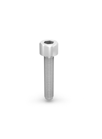 Socket Head Bolt M8x55